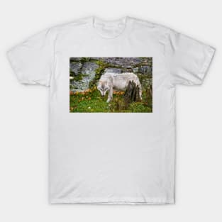 Arctic Wolf T-Shirt